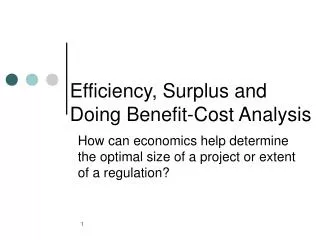 Efficiency, Surplus and Doing Benefit-Cost Analysis