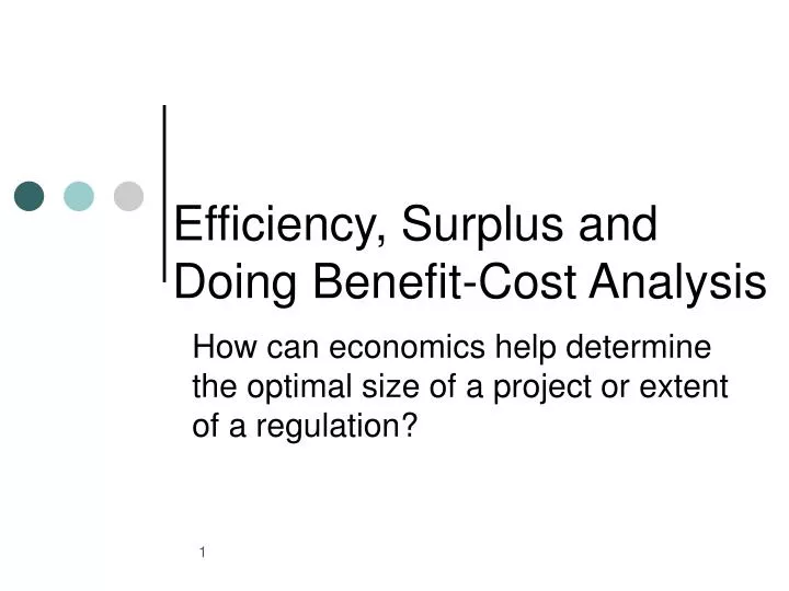 efficiency surplus and doing benefit cost analysis