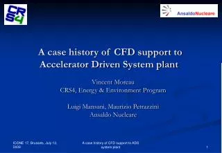 A case history of CFD support to Accelerator Driven System plant