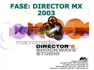 fase director mx 2003