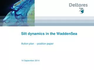 Silt dynamics in the WaddenSea