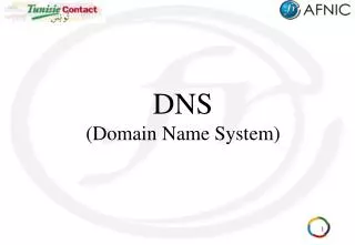 dns domain name system