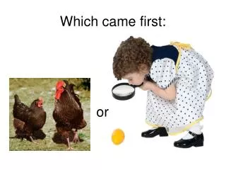 Which came first: