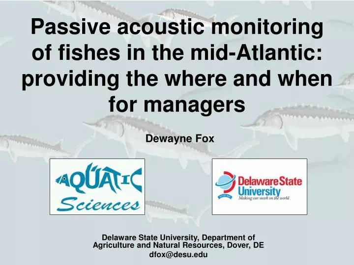 passive acoustic monitoring of fishes in the mid atlantic providing the where and when for managers