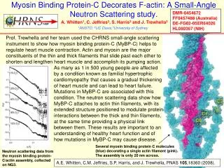 Myosin Binding Protein-C Decorates F-actin: A Small-Angle Neutron Scattering study.