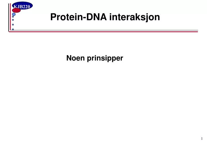 protein dna interaksjon