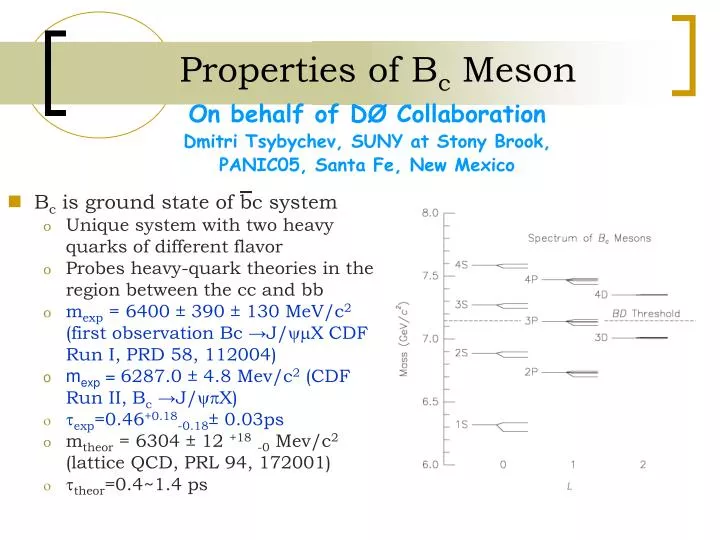 properties of b c meson