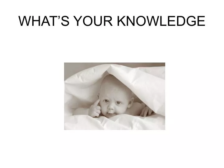 what s your knowledge