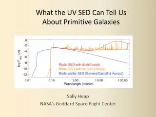 What the UV SED Can Tell Us About Primitive Galaxies