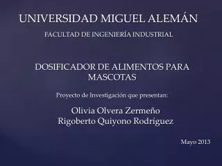 universidad miguel alem n