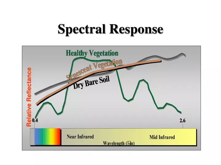 spectral response