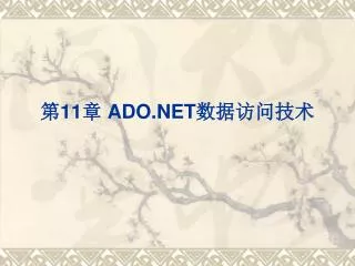 11 ado net