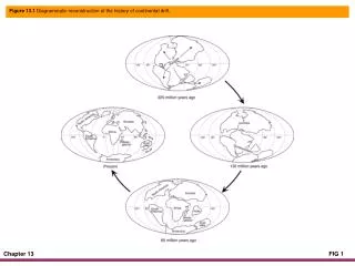 Figure 13.1 Diagrammatic reconstruction of the history of continental drift.
