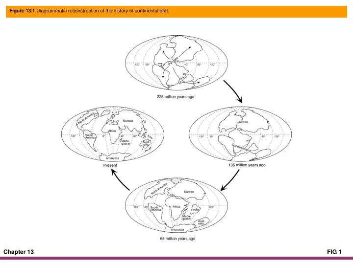 figure 13 1 diagrammatic reconstruction of the history of continental drift