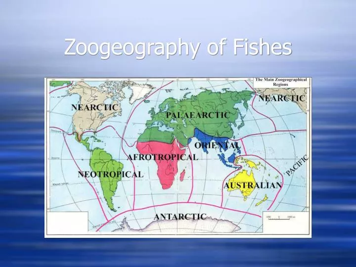 zoogeography of fishes