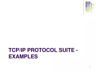 TCP/IP Protocol Suite - examples