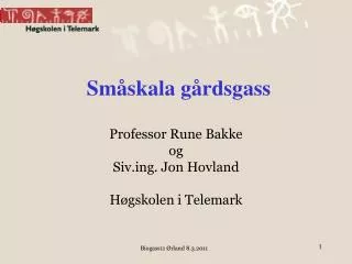 sm skala g rdsgass
