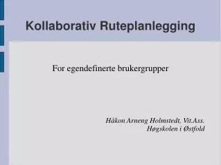 for egendefinerte brukergrupper h kon arneng holmstedt vit ass h gskolen i stfold