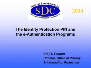 The Identity Protection PIN and the e-Authentication Programs