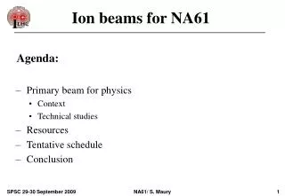 Ion beams for NA61