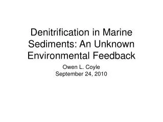 Denitrification in Marine Sediments: An Unknown Environmental Feedback