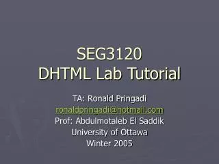 SEG3120 DHTML Lab Tutorial