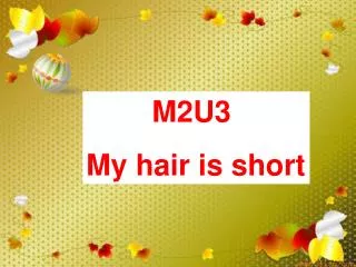 M2U3 My hair is short