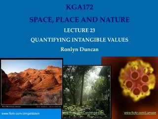 KGA172 SPACE, PLACE AND NATURE LECTURE 23 QUANTIFYING INTANGIBLE VALUES Ronlyn Duncan