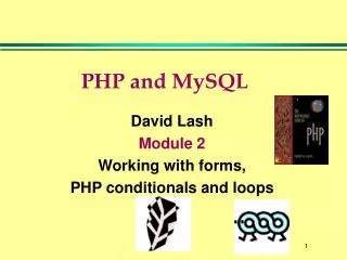 PHP and MySQL