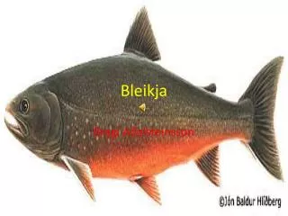 bleikja