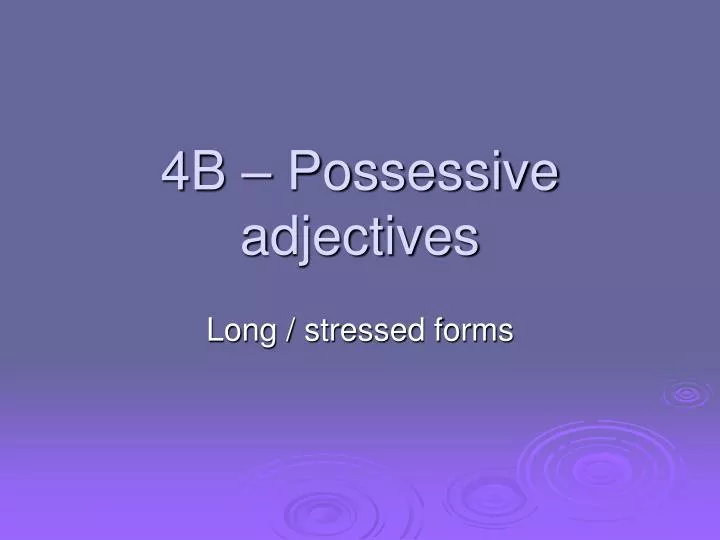 4b possessive adjectives