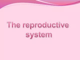 The reproductive system