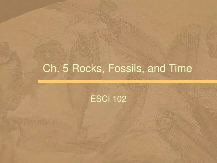 ch 5 rocks fossils and time