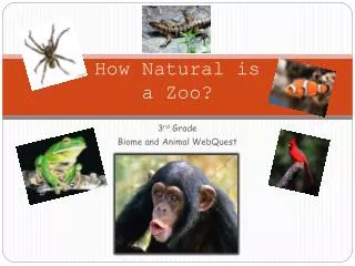 How Natural is a Zoo?