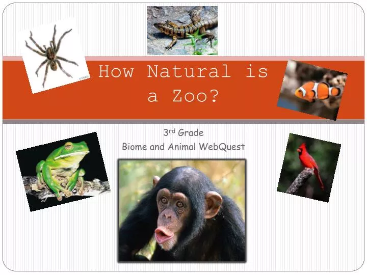 how natural is a zoo