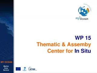 WP 15 Thematic &amp; Assemby Center for In Situ