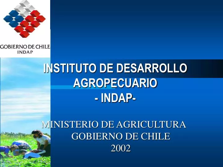 instituto de desarrollo agropecuario indap