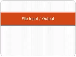 File Input / Output