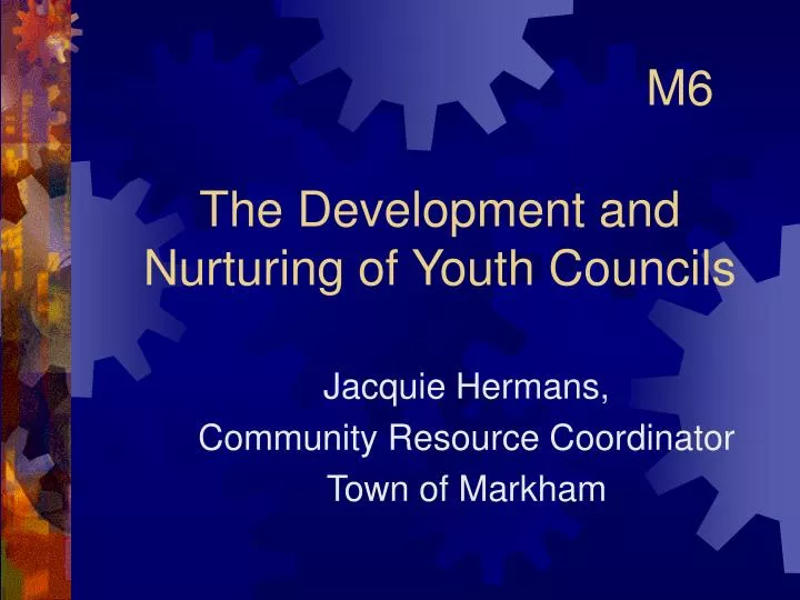 the development and nurturing of youth councils