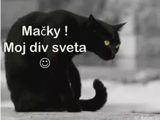 ma ky moj div sveta