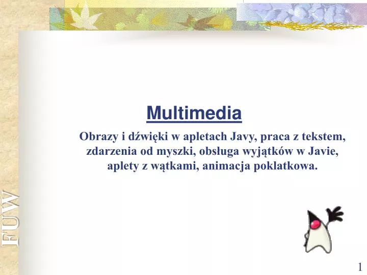 multimedia