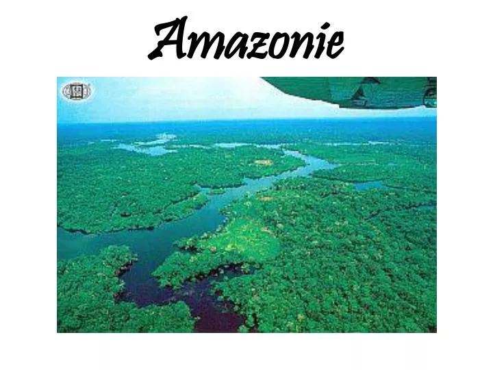 amazonie