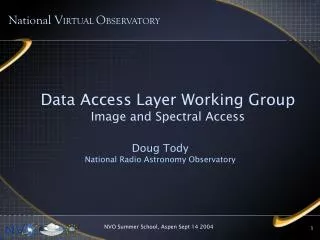 Data Access Layer Working Group Image and Spectral Access