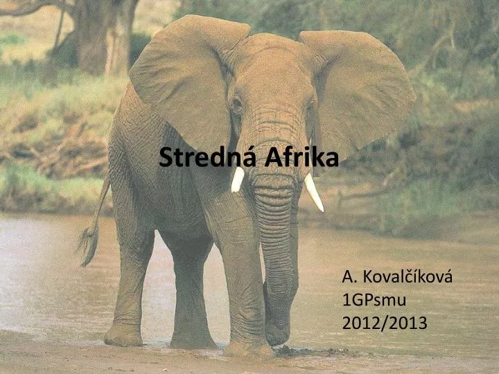 stredn afrika