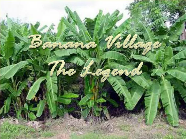 banana village the legend