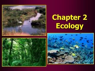 Chapter 2 Ecology