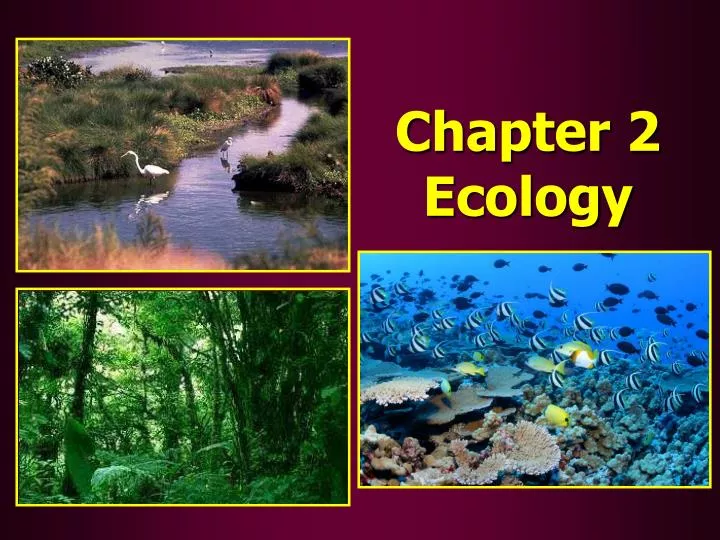 chapter 2 ecology