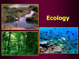 Ecology