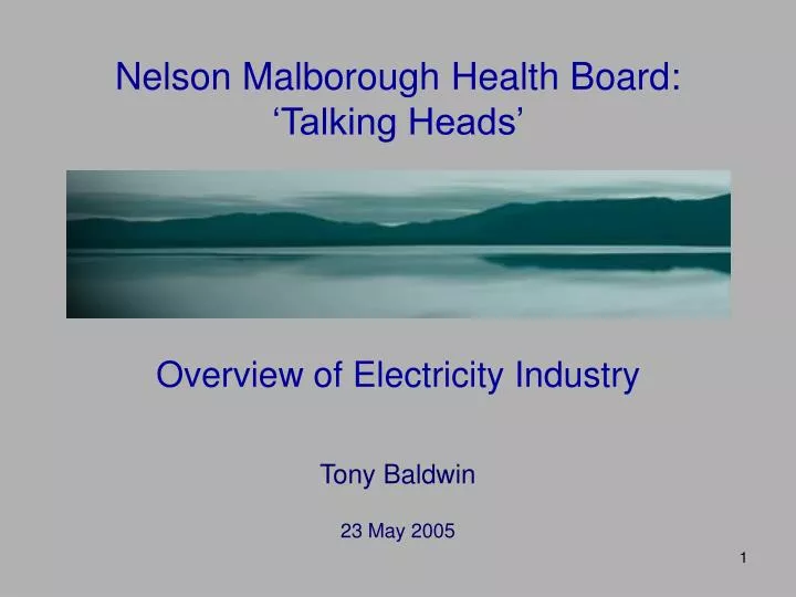 nelson malborough health board talking heads