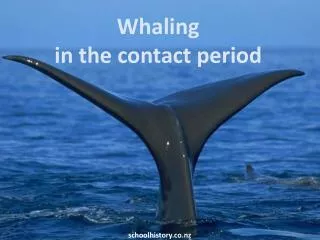 Whaling in the contact period